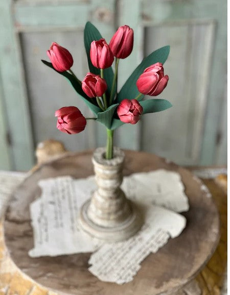 Triumph Tulip Bundle | 14.5