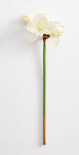 Load image into Gallery viewer, Faux Amaryllis Stem
