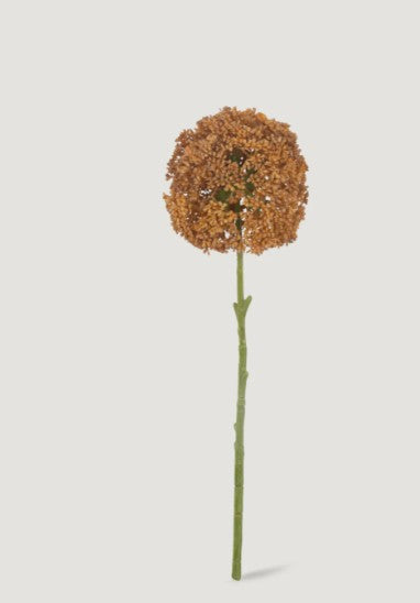 Fake Allium Wildflower in Umber Brown - 18