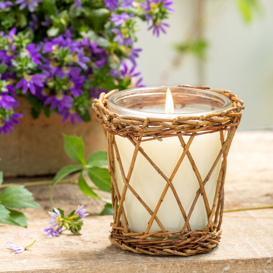 Willow Candle From Park Hill Collections- Spring/Summer