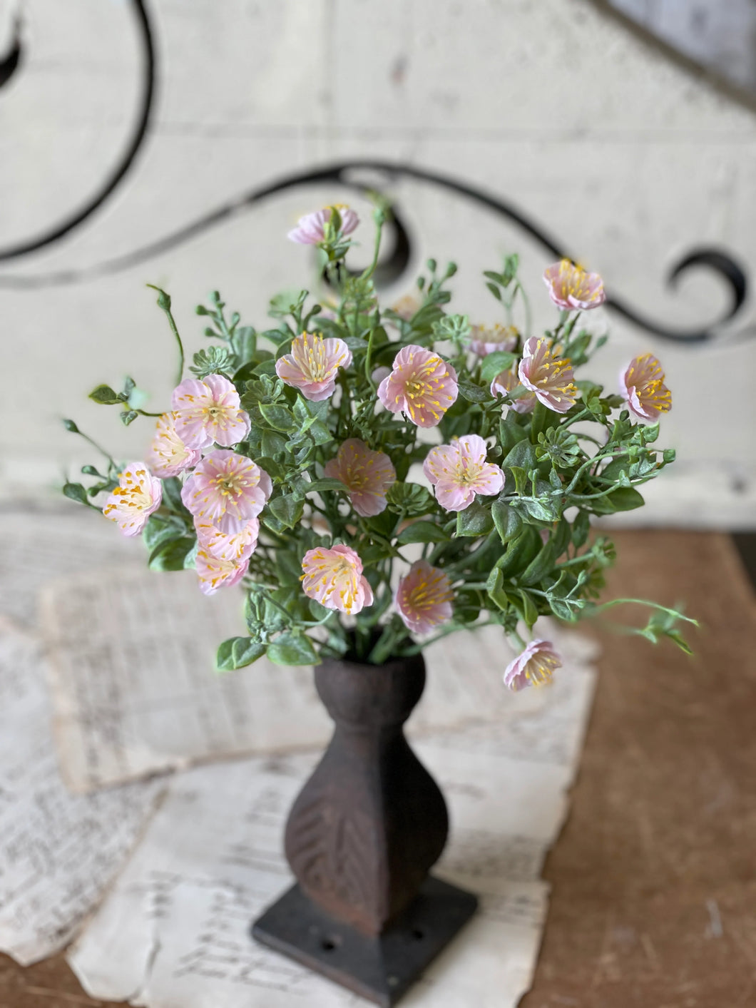 Evening Primrose Bush | 11