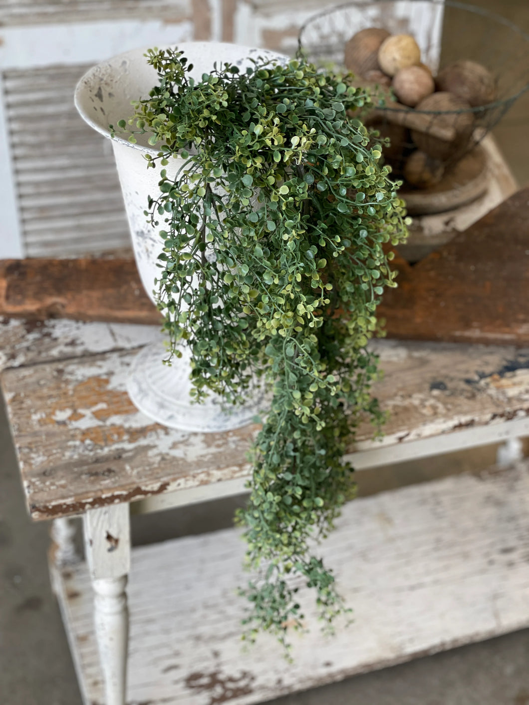 Pennington Boxwood Hanging | 32