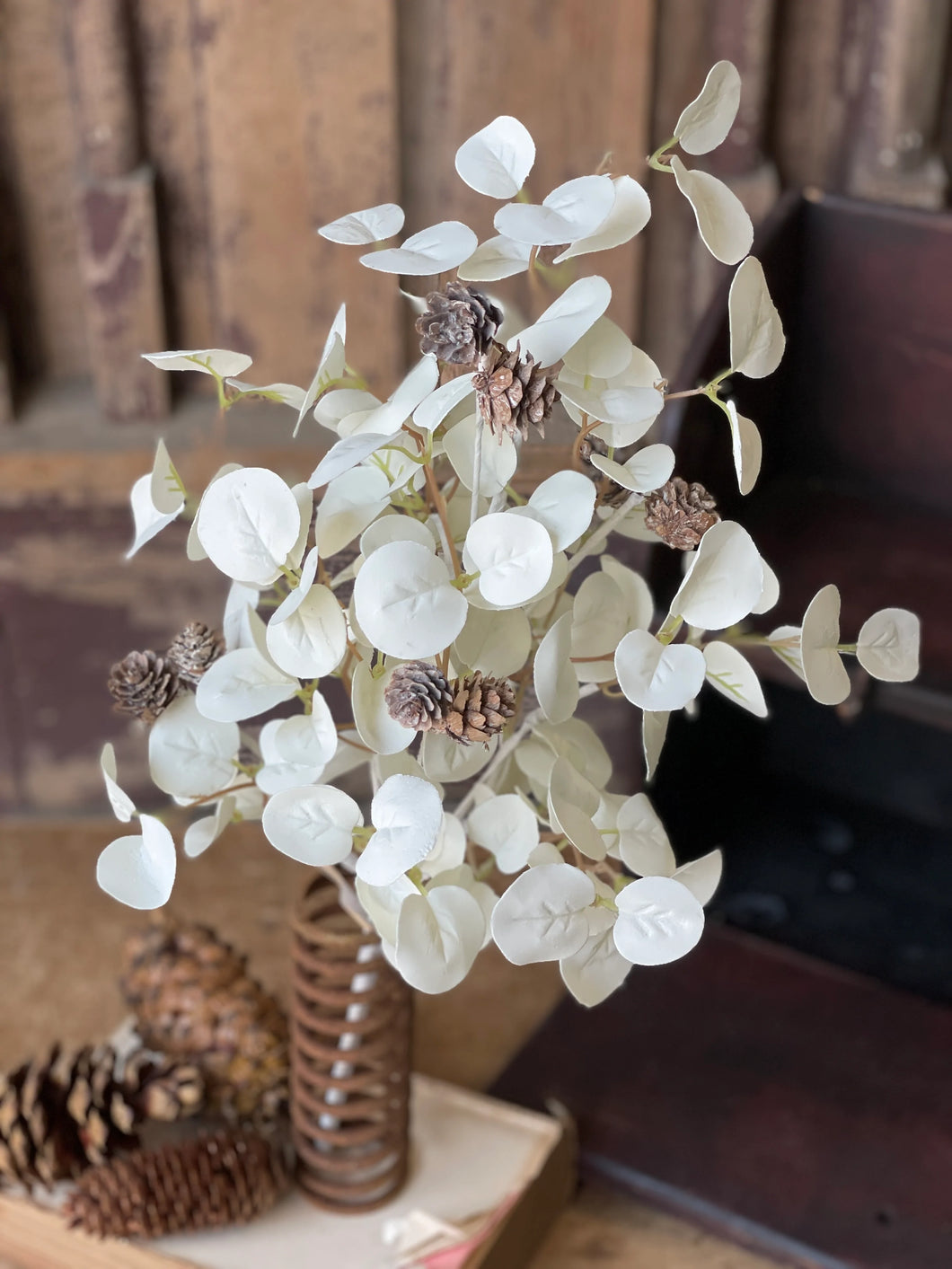 Ethereal Eucalyptus Bush l 20