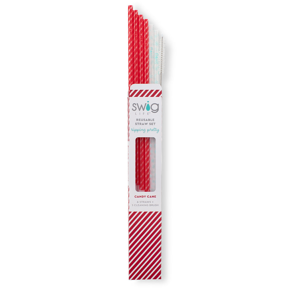 Candy Cane and Snowflake Reusable Straw Set