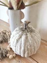 Load image into Gallery viewer, Chunky Chenille Pumpkins
