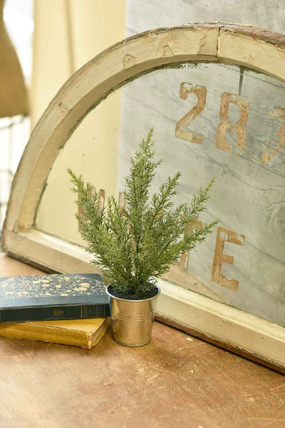 Potted Glittered Cedar Tree | 12